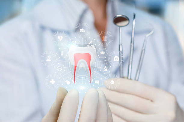 Best Traditional Braces  in Lake Stevens, WA